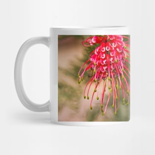 Grevillea, Australian Native Flora Mug